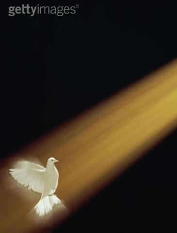 Les le�ons de la vie